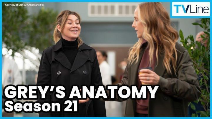 مسلسل Grey’s Anatomy الموسم 21 الحلقة 13 مترجمة