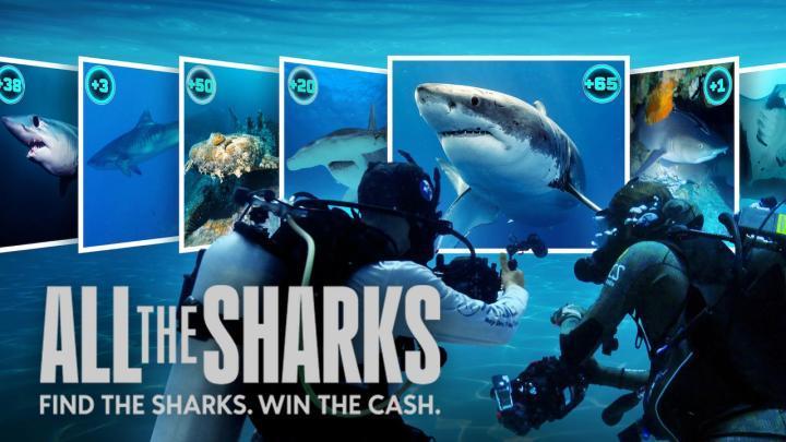 مسلسل All the Sharks الموسم الاول الحلقة 3