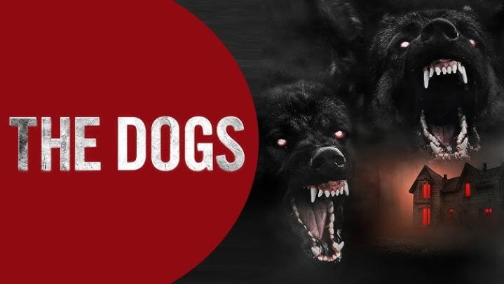 مشاهدة فيلم the dogs 2025 مترجم موفيز لاند