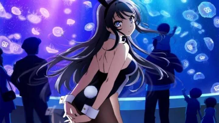 انمي Seishun Buta Yarou wa Santa Claus الحلقة 13 الثالثة عشر مترجمة